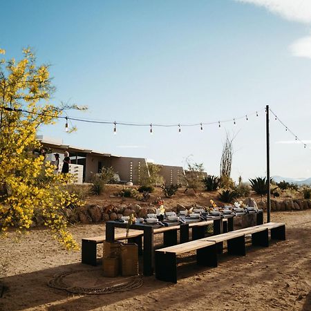 The Bungalows By Homestead Modern Joshua Tree Zewnętrze zdjęcie