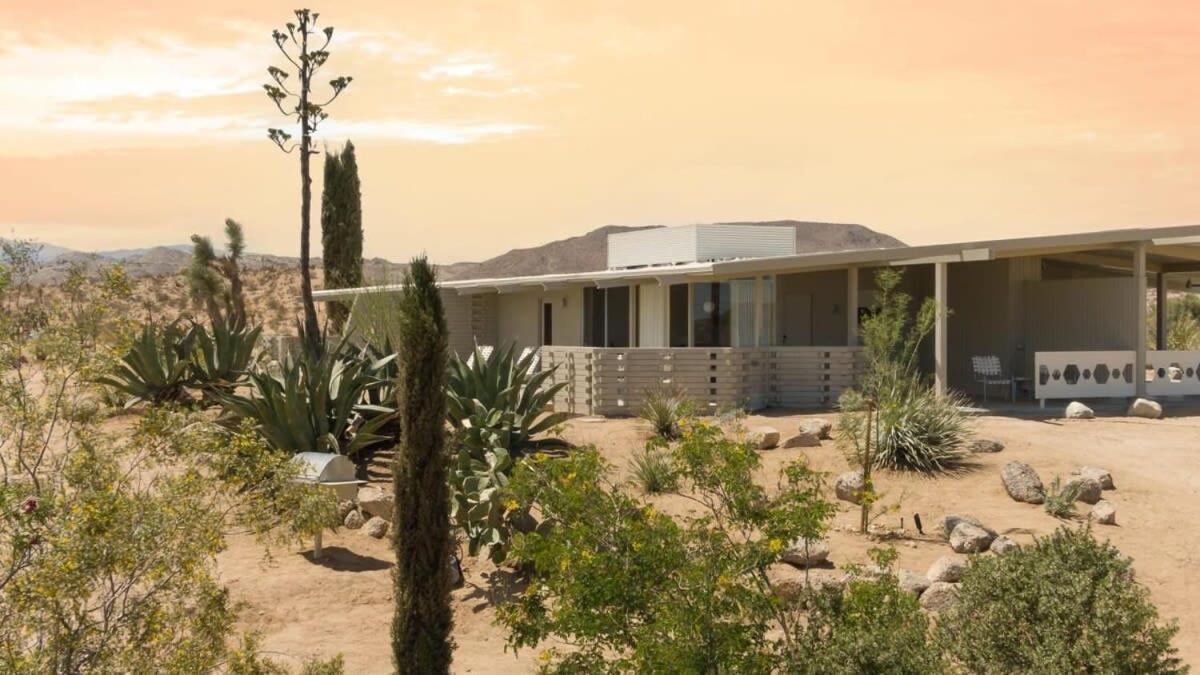 The Bungalows By Homestead Modern Joshua Tree Zewnętrze zdjęcie