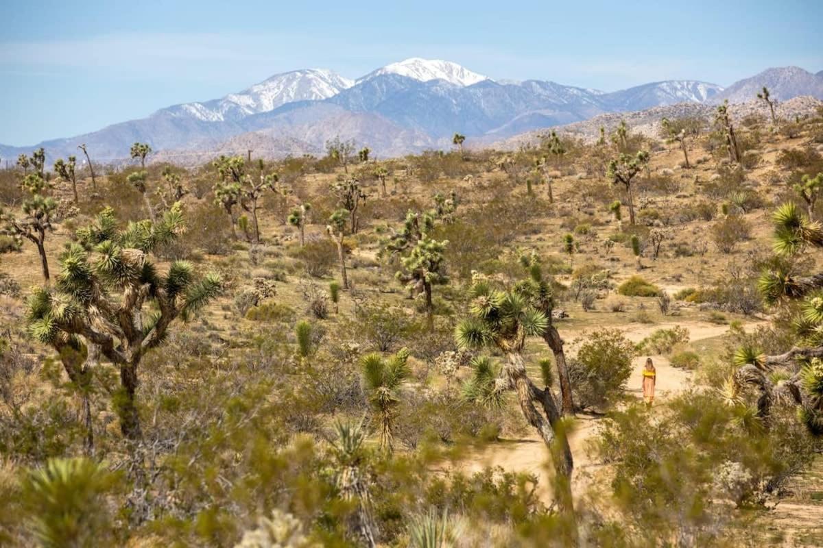 The Bungalows By Homestead Modern Joshua Tree Zewnętrze zdjęcie