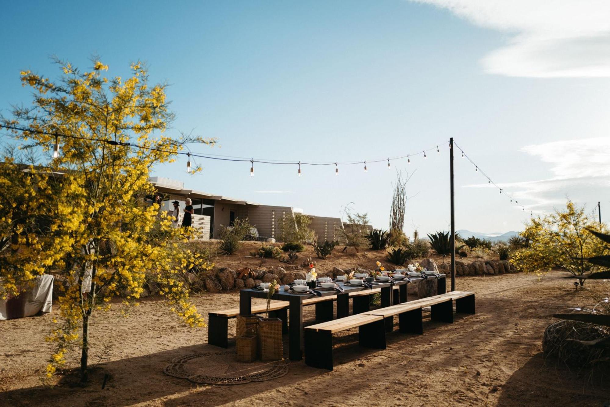 The Bungalows By Homestead Modern Joshua Tree Zewnętrze zdjęcie